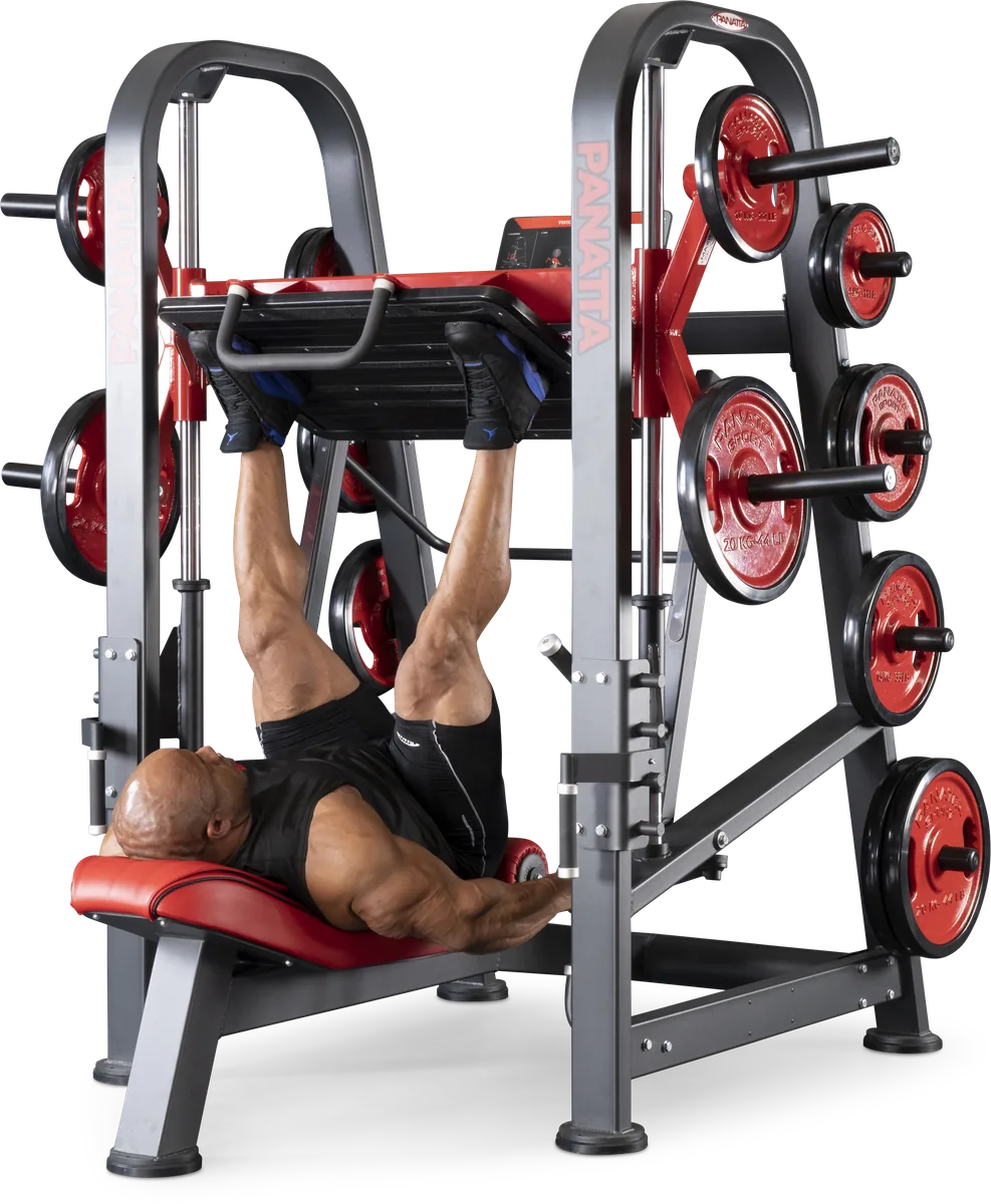 Vertical leg press view 3